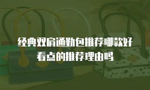 经典双肩通勤包推荐哪款好看点的推荐理由吗