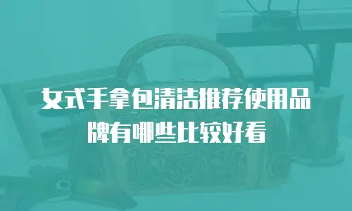 女式手拿包清洁推荐使用品牌有哪些比较好看