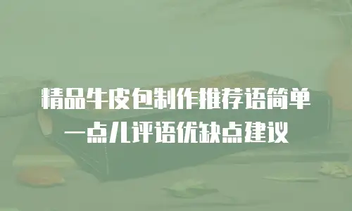 精品牛皮包制作推荐语简单一点儿评语优缺点建议