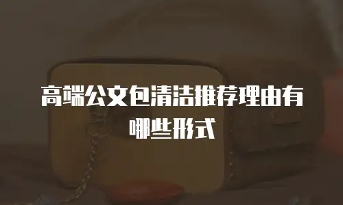 高端公文包清洁推荐理由有哪些形式