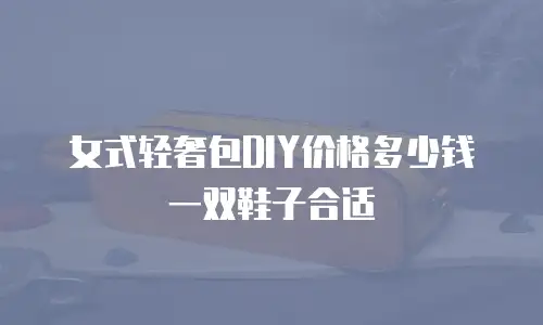 女式轻奢包DIY价格多少钱一双鞋子合适