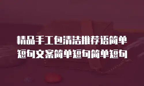 精品手工包清洁推荐语简单短句文案简单短句简单短句