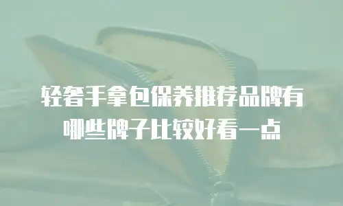 轻奢手拿包保养推荐品牌有哪些牌子比较好看一点