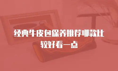 经典牛皮包保养推荐哪款比较好看一点