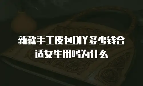 新款手工皮包DIY多少钱合适女生用吗为什么