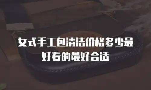 女式手工包清洁价格多少最好看的最好合适