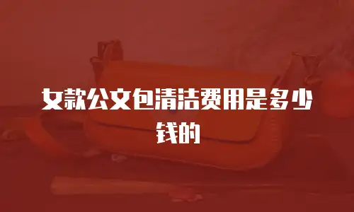 女款公文包清洁费用是多少钱的