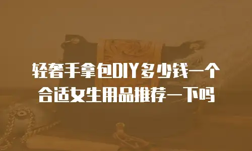 轻奢手拿包DIY多少钱一个合适女生用品推荐一下吗
