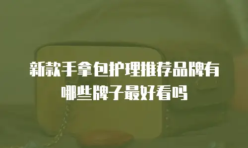 新款手拿包护理推荐品牌有哪些牌子最好看吗