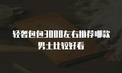 轻奢包包3000左右推荐哪款男士比较好看