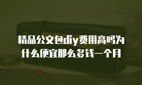 精品公文包diy费用高吗为什么便宜那么多钱一个月