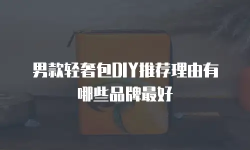 男款轻奢包DIY推荐理由有哪些品牌最好