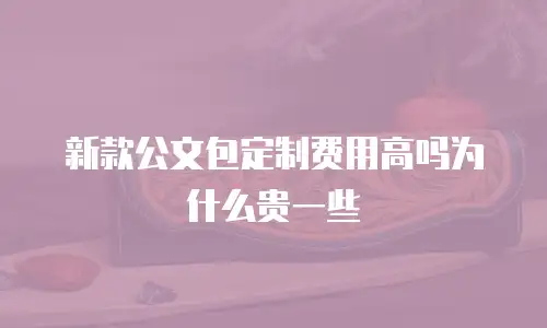 新款公文包定制费用高吗为什么贵一些