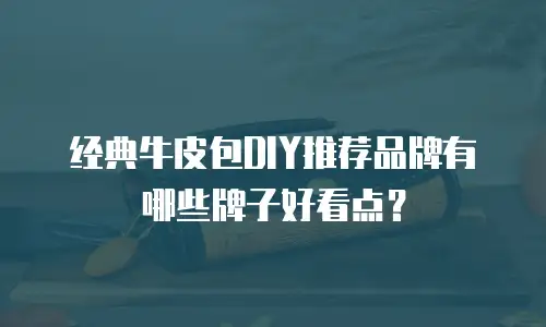 经典牛皮包DIY推荐品牌有哪些牌子好看点？