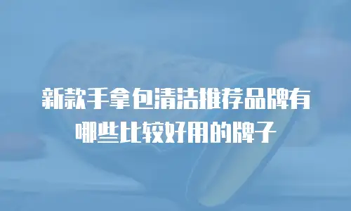 新款手拿包清洁推荐品牌有哪些比较好用的牌子