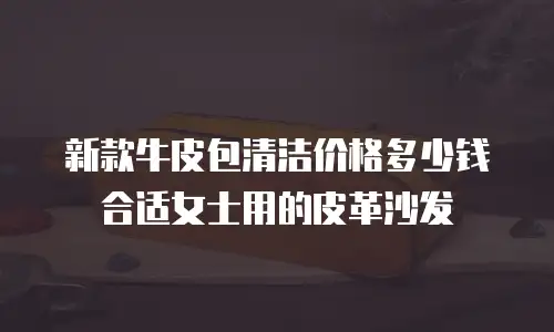 新款牛皮包清洁价格多少钱合适女士用的皮革沙发