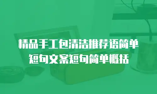 精品手工包清洁推荐语简单短句文案短句简单概括