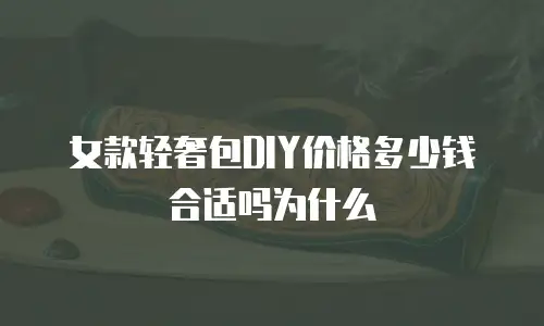 女款轻奢包DIY价格多少钱合适吗为什么