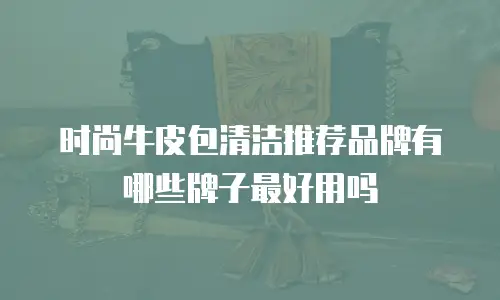 时尚牛皮包清洁推荐品牌有哪些牌子最好用吗