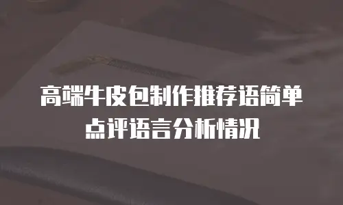高端牛皮包制作推荐语简单点评语言分析情况