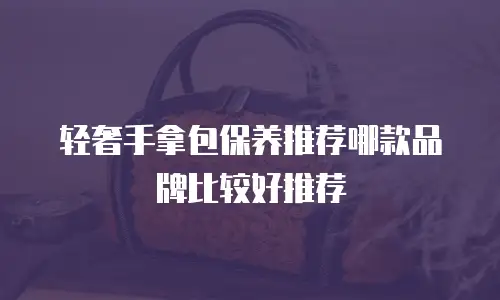 轻奢手拿包保养推荐哪款品牌比较好推荐