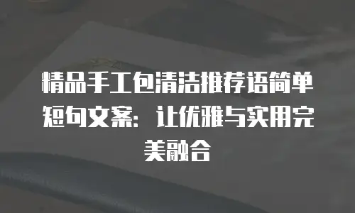 精品手工包清洁推荐语简单短句文案：让优雅与实用完美融合