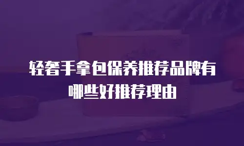 轻奢手拿包保养推荐品牌有哪些好推荐理由