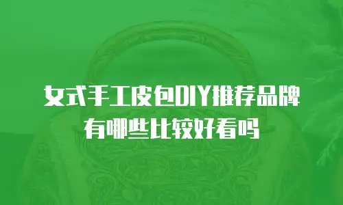 女式手工皮包DIY推荐品牌有哪些比较好看吗
