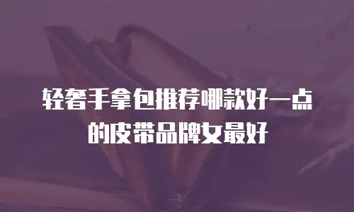 轻奢手拿包推荐哪款好一点的皮带品牌女最好