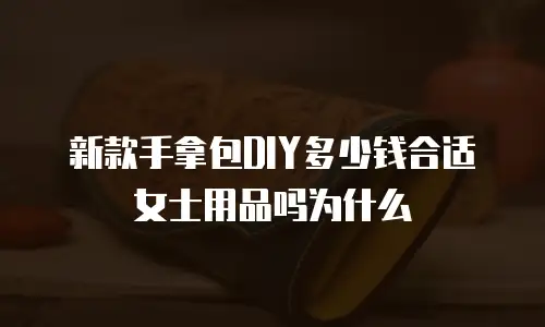 新款手拿包DIY多少钱合适女士用品吗为什么