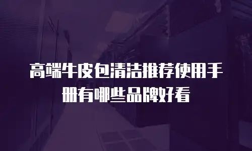 高端牛皮包清洁推荐使用手册有哪些品牌好看