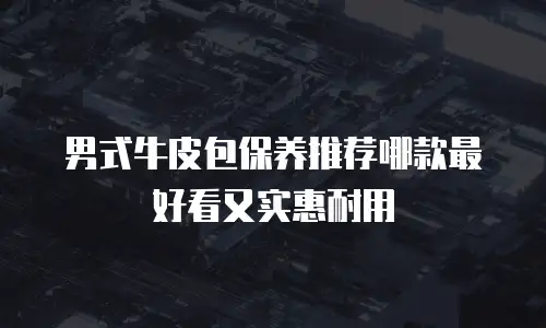 男式牛皮包保养推荐哪款最好看又实惠耐用