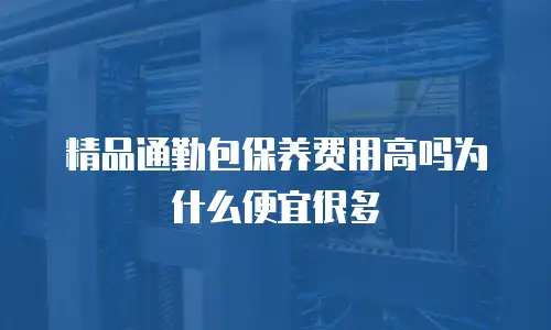 精品通勤包保养费用高吗为什么便宜很多