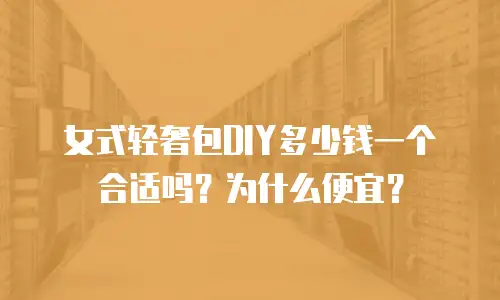 女式轻奢包DIY多少钱一个合适吗？为什么便宜？