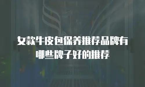女款牛皮包保养推荐品牌有哪些牌子好的推荐