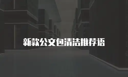 新款公文包清洁推荐语