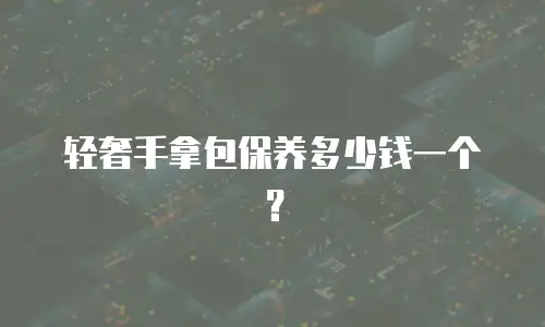 轻奢手拿包保养多少钱一个？