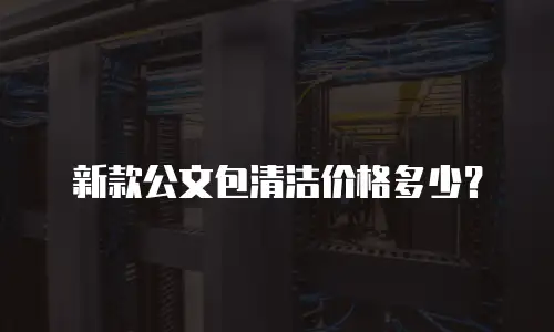 新款公文包清洁价格多少？