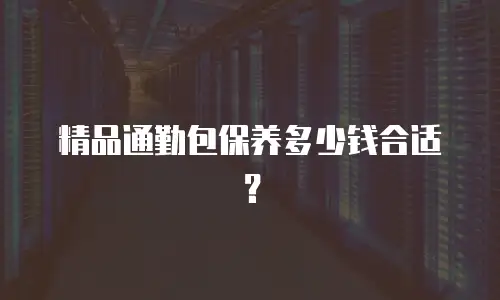 精品通勤包保养多少钱合适？
