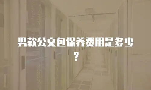 男款公文包保养费用是多少？