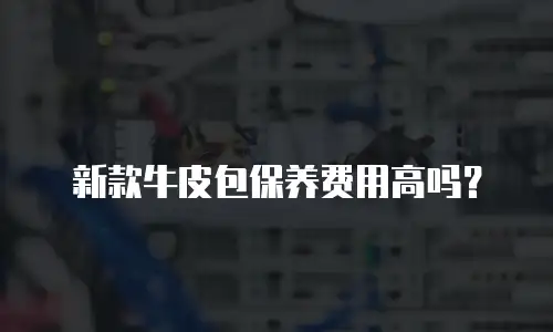 新款牛皮包保养费用高吗？