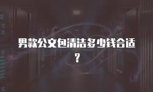 男款公文包清洁多少钱合适？