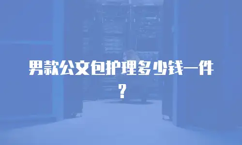 男款公文包护理多少钱一件？