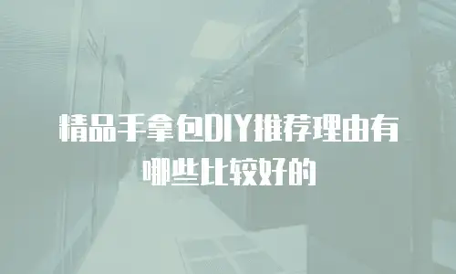 精品手拿包DIY推荐理由有哪些比较好的