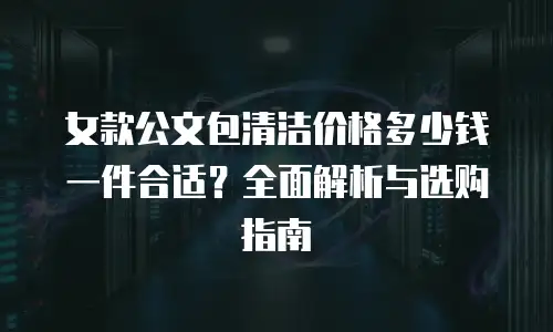 女款公文包清洁价格多少钱一件合适？全面解析与选购指南