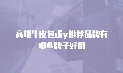 高端牛皮包diy推荐品牌有哪些牌子好用