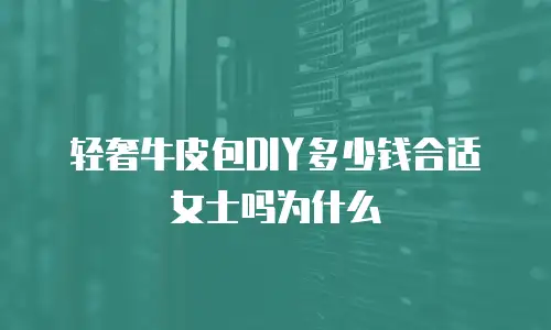 轻奢牛皮包DIY多少钱合适女士吗为什么