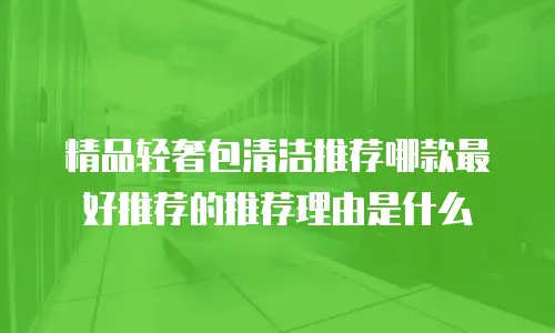 精品轻奢包清洁推荐哪款最好推荐的推荐理由是什么