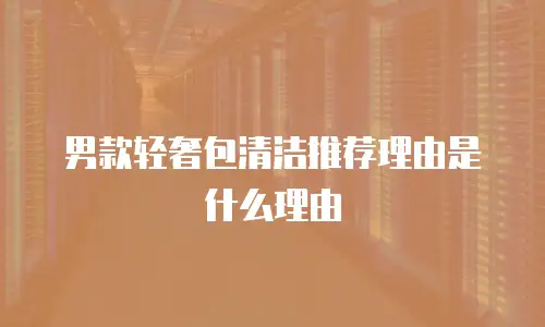 男款轻奢包清洁推荐理由是什么理由