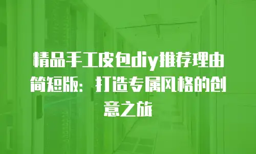 精品手工皮包diy推荐理由简短版：打造专属风格的创意之旅